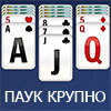 ПАСЬЯНС ПАУК КРУПНО